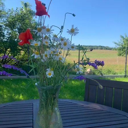 Vakantiehuis Casa Salino