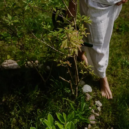 Casa vacanze Casa Salino